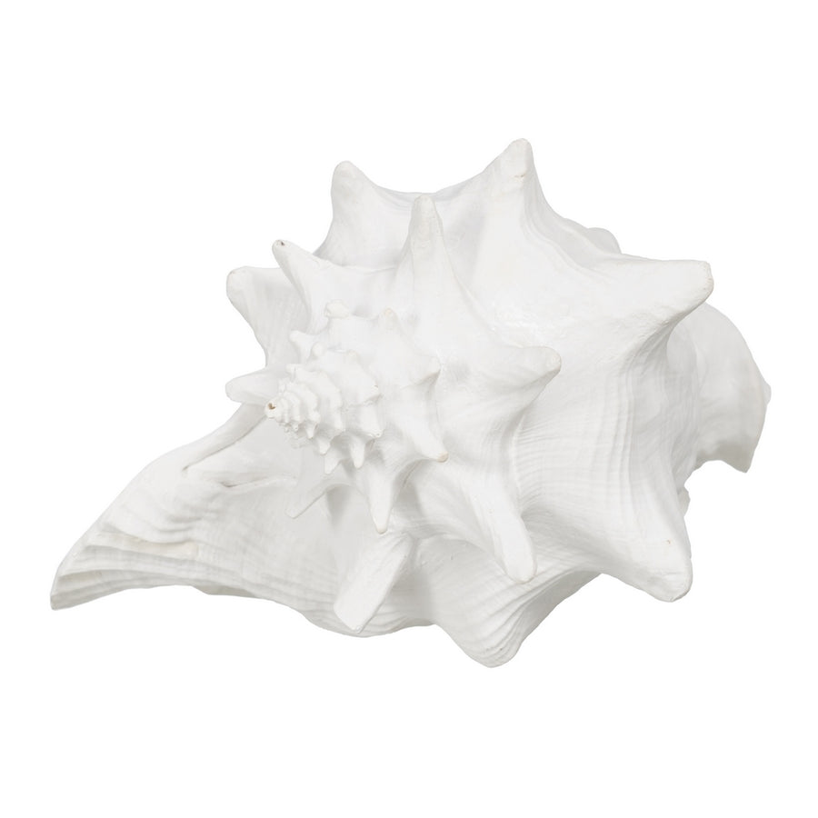 FIGURA CARACOLA BLANCO RESINA DECORACIÓN 21 X 19 X 13 CM
