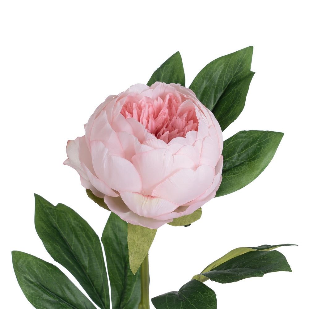 FLOR PEONÍA ROSA POLIÉSTER-POLIETILENO 66 CM