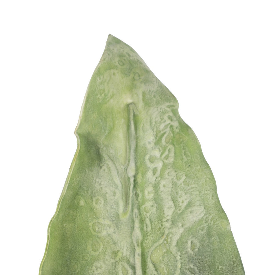 RAMA HOJA VERDE NAILON DECORACIÓN 129 CM