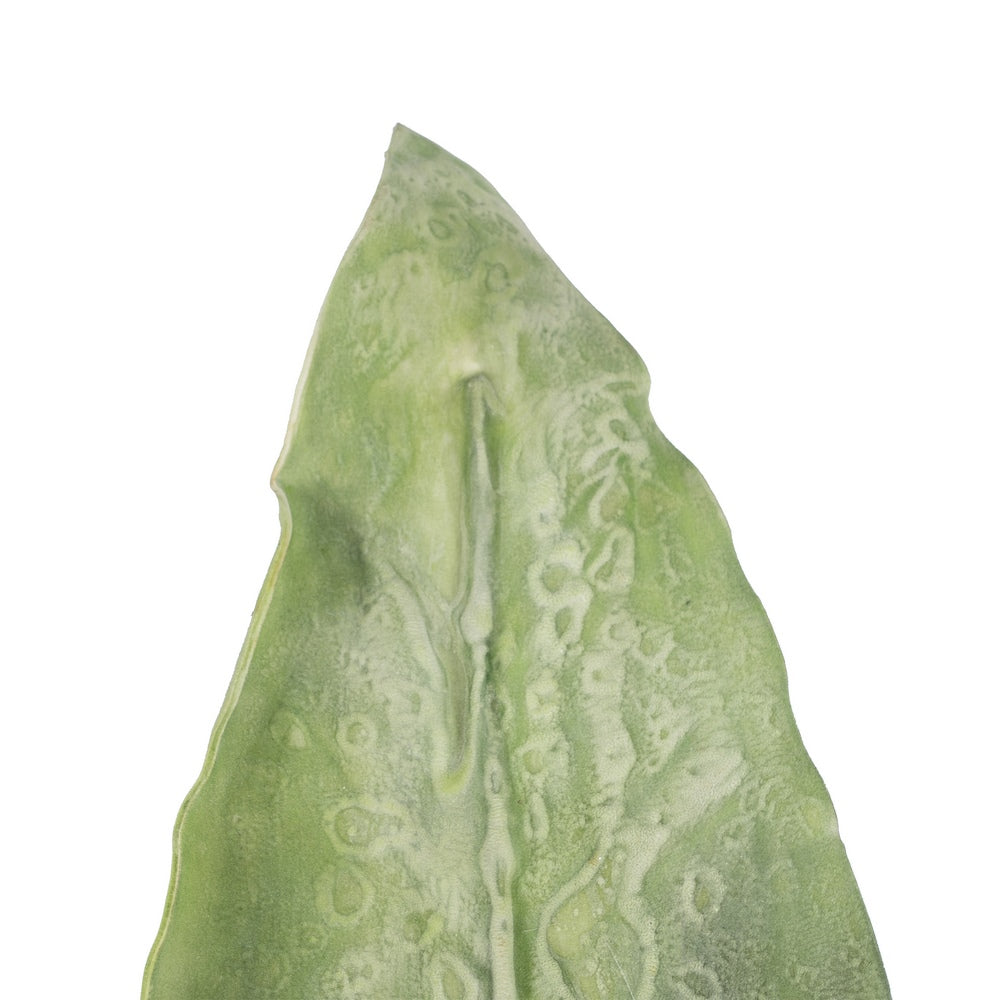 RAMA HOJA VERDE NAILON DECORACIÓN 129 CM