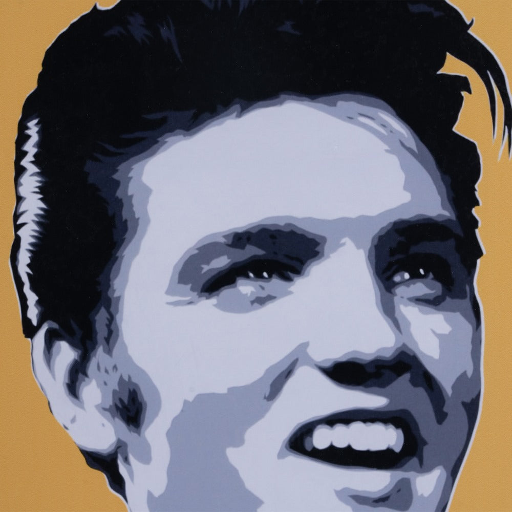 POP ART PRINT PICTURE 2/M DECORATION 53 X 53 CM