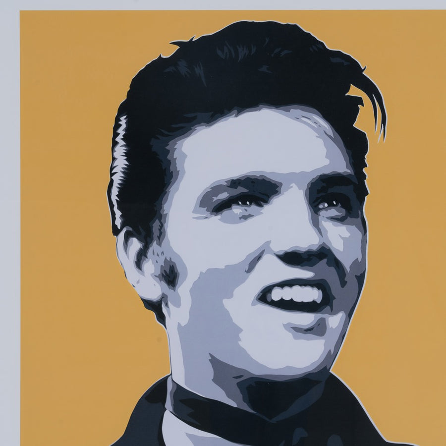 POP ART PRINT PICTURE 2/M DECORATION 73 X 73 CM