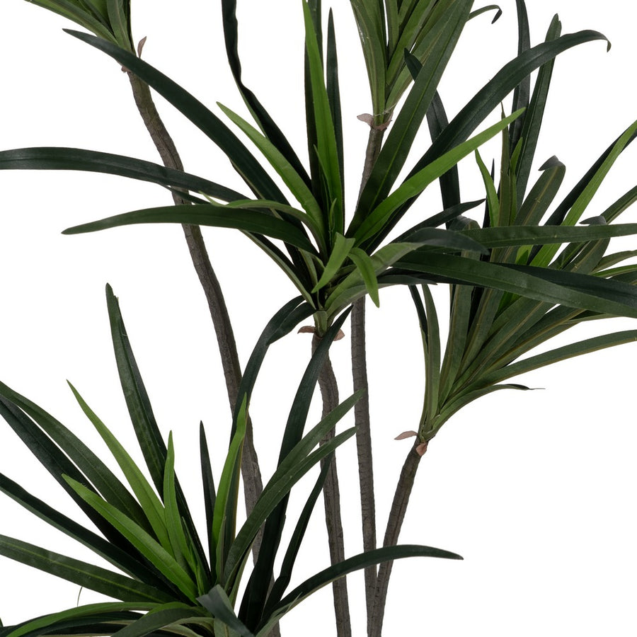 PLANTA DRACAENA VERDE GOMA 130 CM