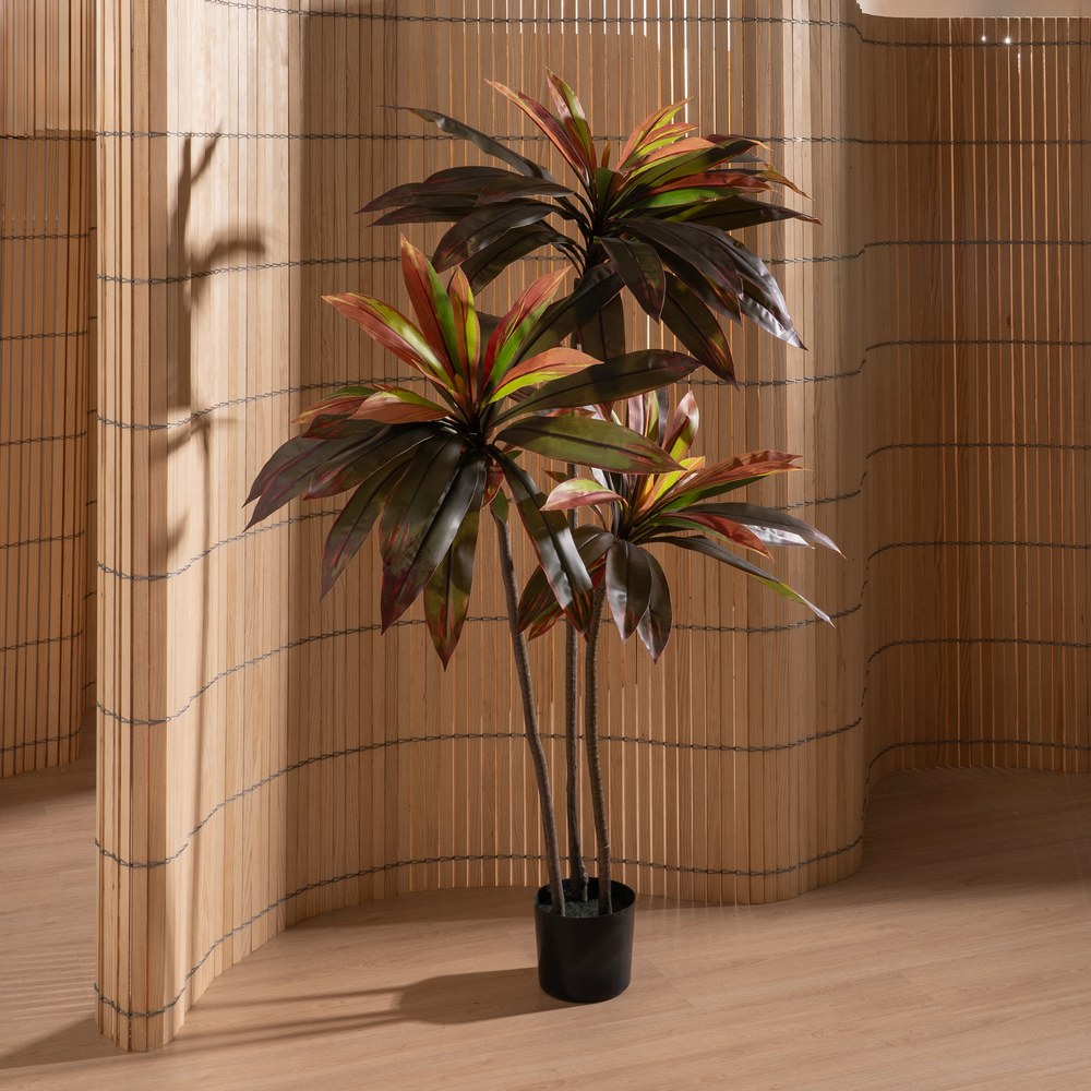 PLANTA DRACAENA ROJO GOMA DECORACIÓN 165 CM