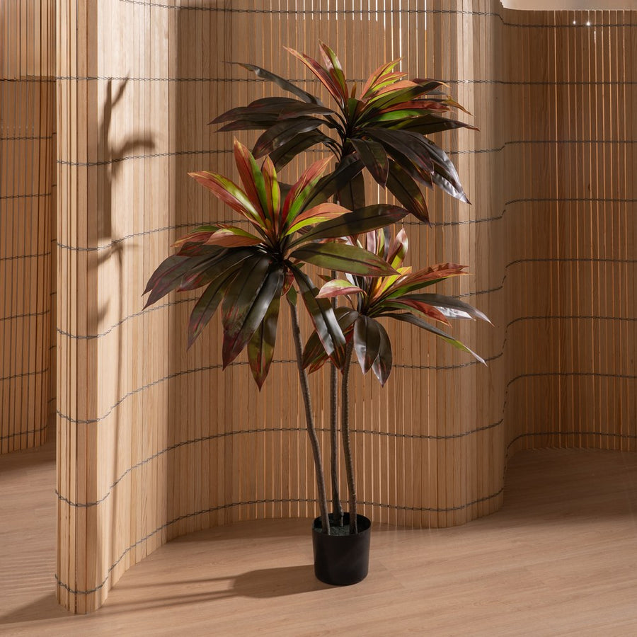 PLANTA DRACAENA ROJO GOMA DECORACIÓN 165 CM