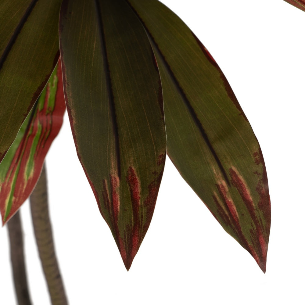 PLANTA DRACAENA ROJO GOMA DECORACIÓN 165 CM