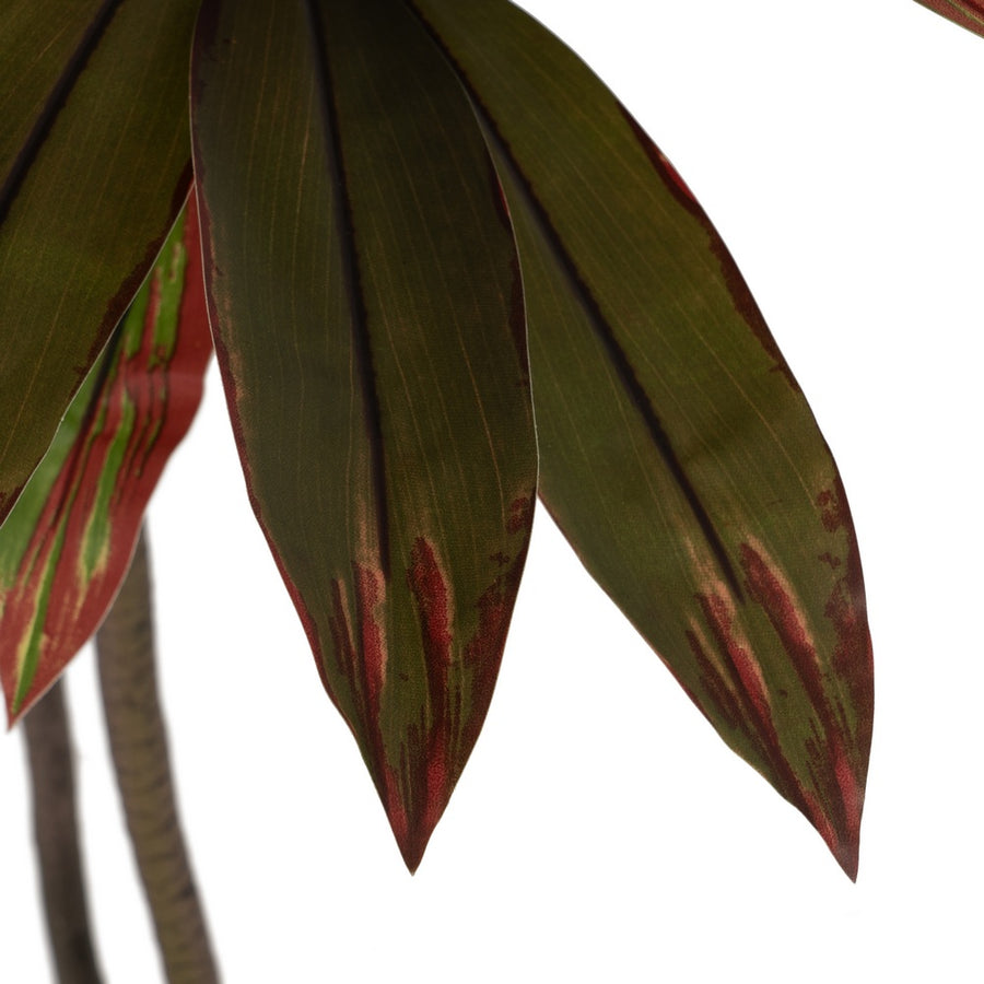 PLANTA DRACAENA ROJO GOMA DECORACIÓN 165 CM
