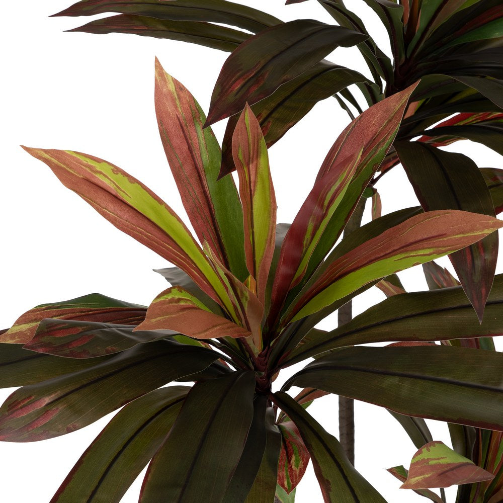 PLANTA DRACAENA ROJO GOMA DECORACIÓN 165 CM