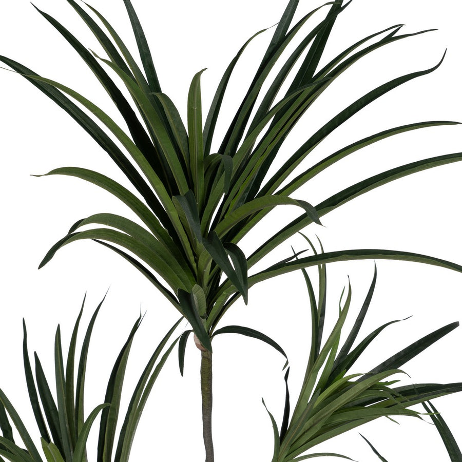 PLANTA DRACAENA VERDE GOMA 220 CM