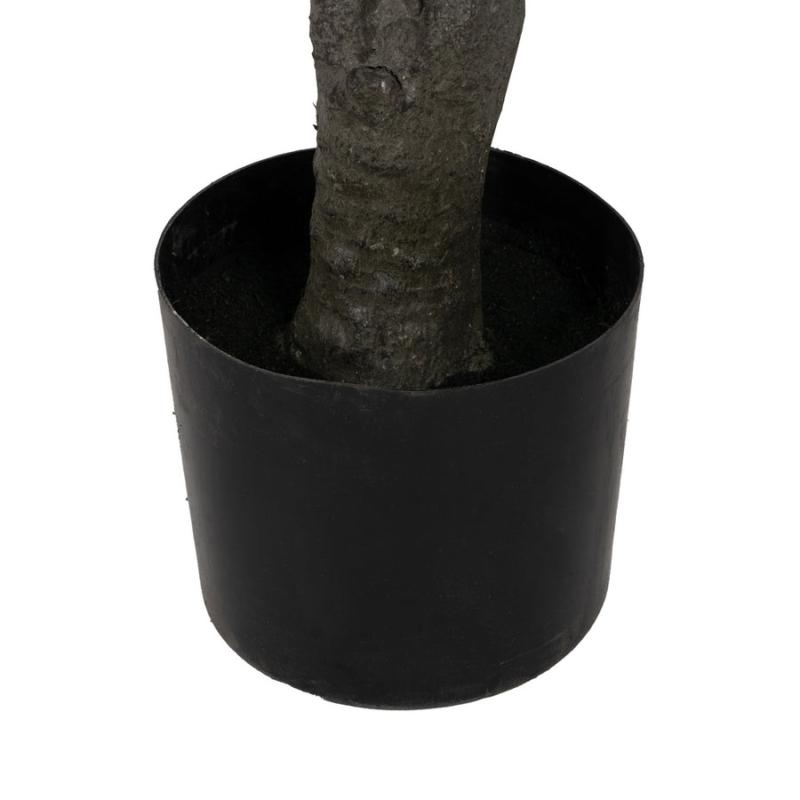 PLANTA DRACAENA VERDE GOMA 220 CM