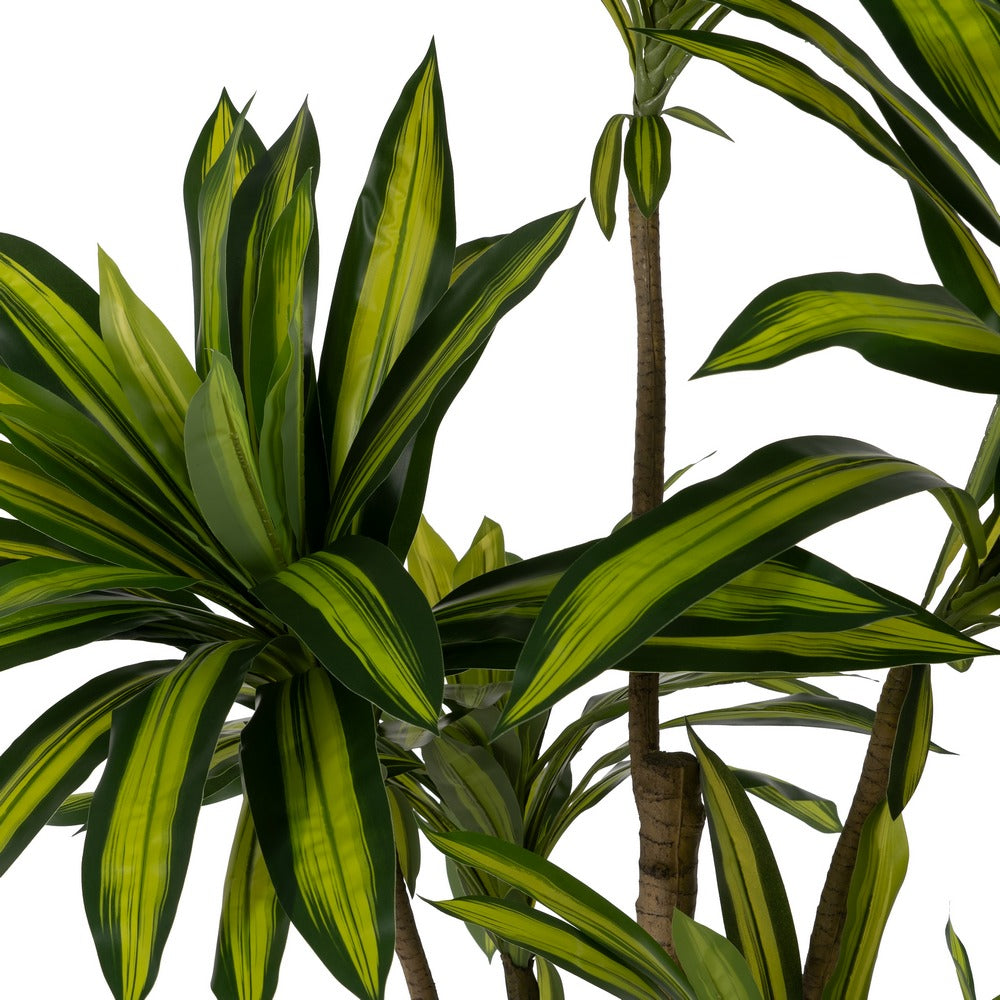 PLANTA DRACAENA VERDE GOMA DECORACIÓN 200 CM
