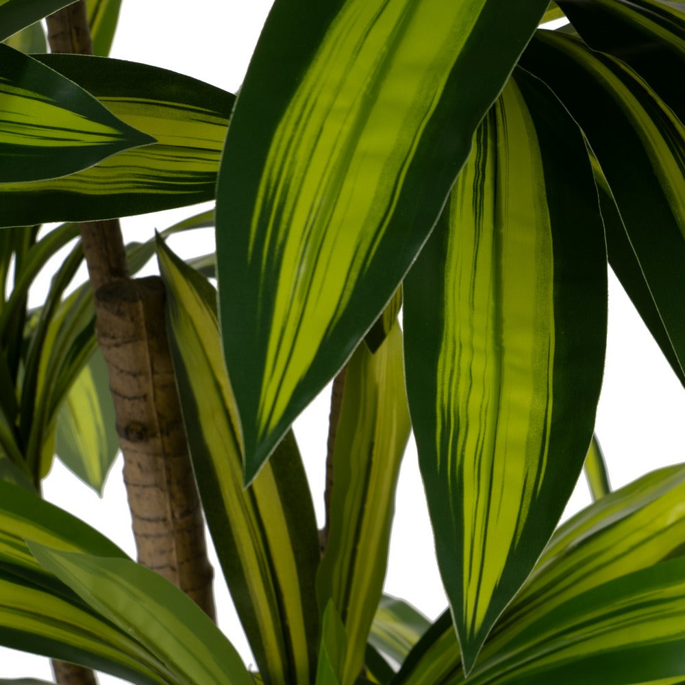 PLANTA DRACAENA VERDE GOMA DECORACIÓN 200 CM