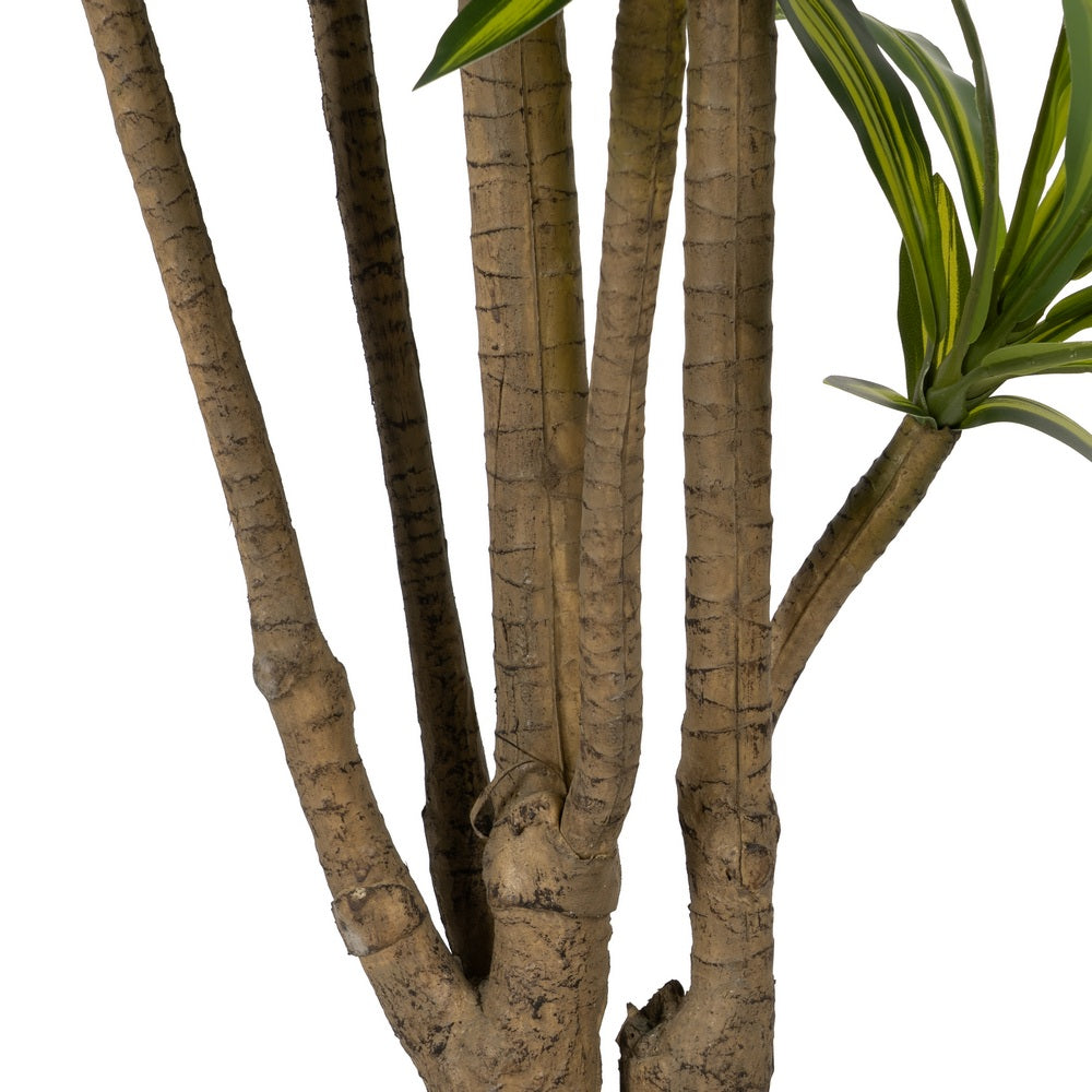 PLANTA DRACAENA VERDE GOMA DECORACIÓN 200 CM