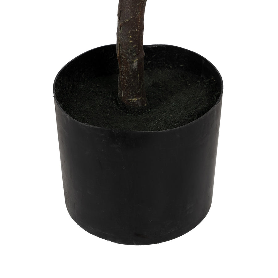 PLANTA MAGNOLIA VERDE-BLANCO GOMA 120 CM