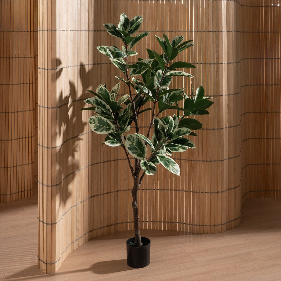 PLANTA MAGNOLIA VERDE-BLANCO GOMA 150 CM