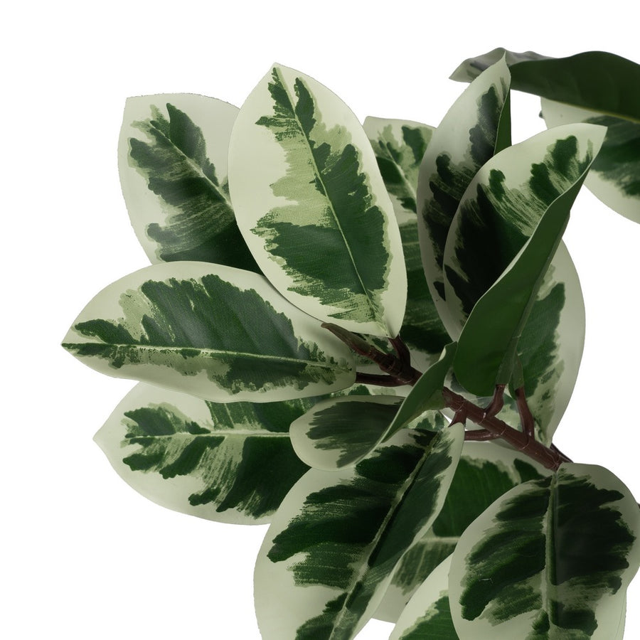 PLANTA MAGNOLIA VERDE-BLANCO GOMA 150 CM