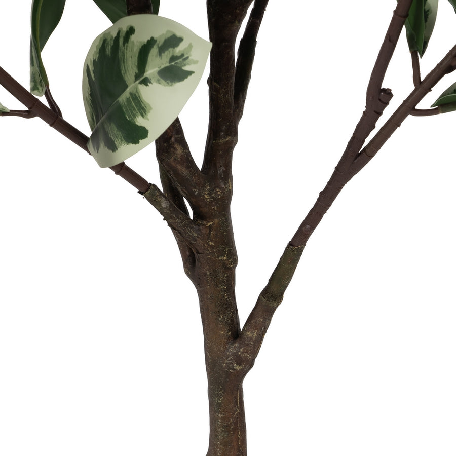PLANTA MAGNOLIA VERDE-BLANCO GOMA 150 CM