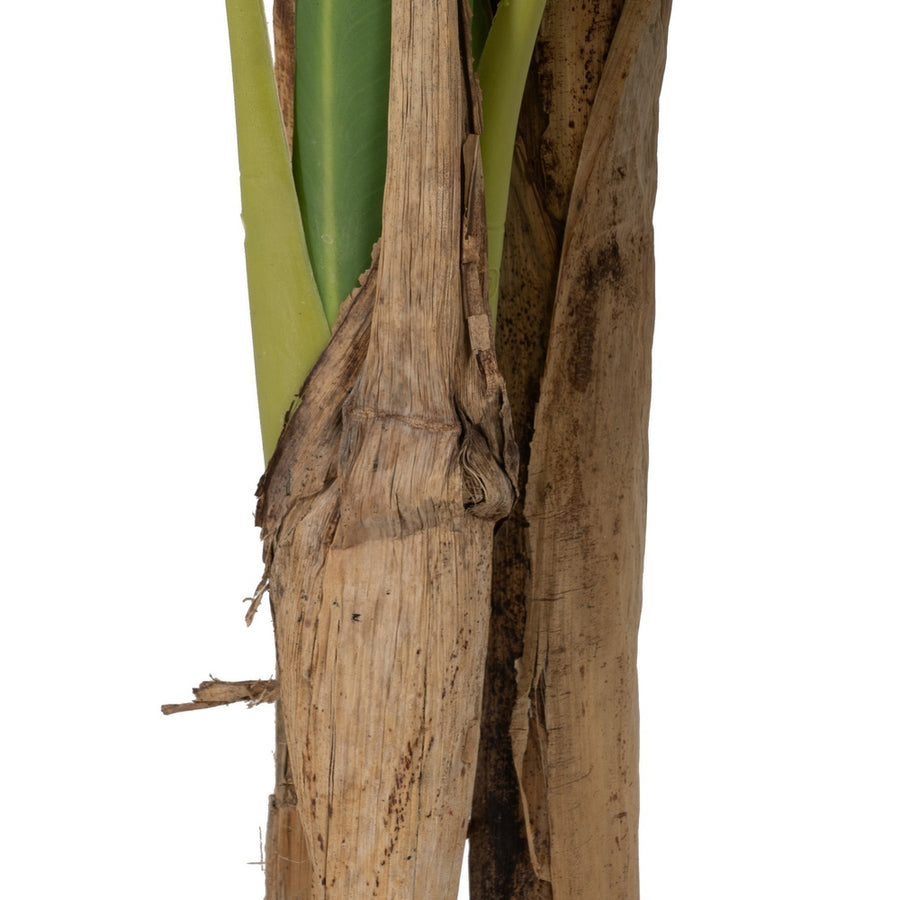 GREEN BANANA TREE PLANT RUBBER DECORATION 150 CM
