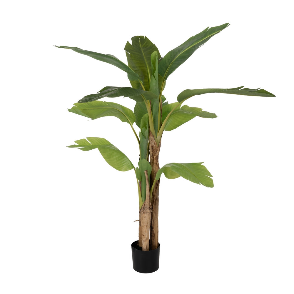 GREEN BANANA TREE PLANT RUBBER DECORATION 150 CM