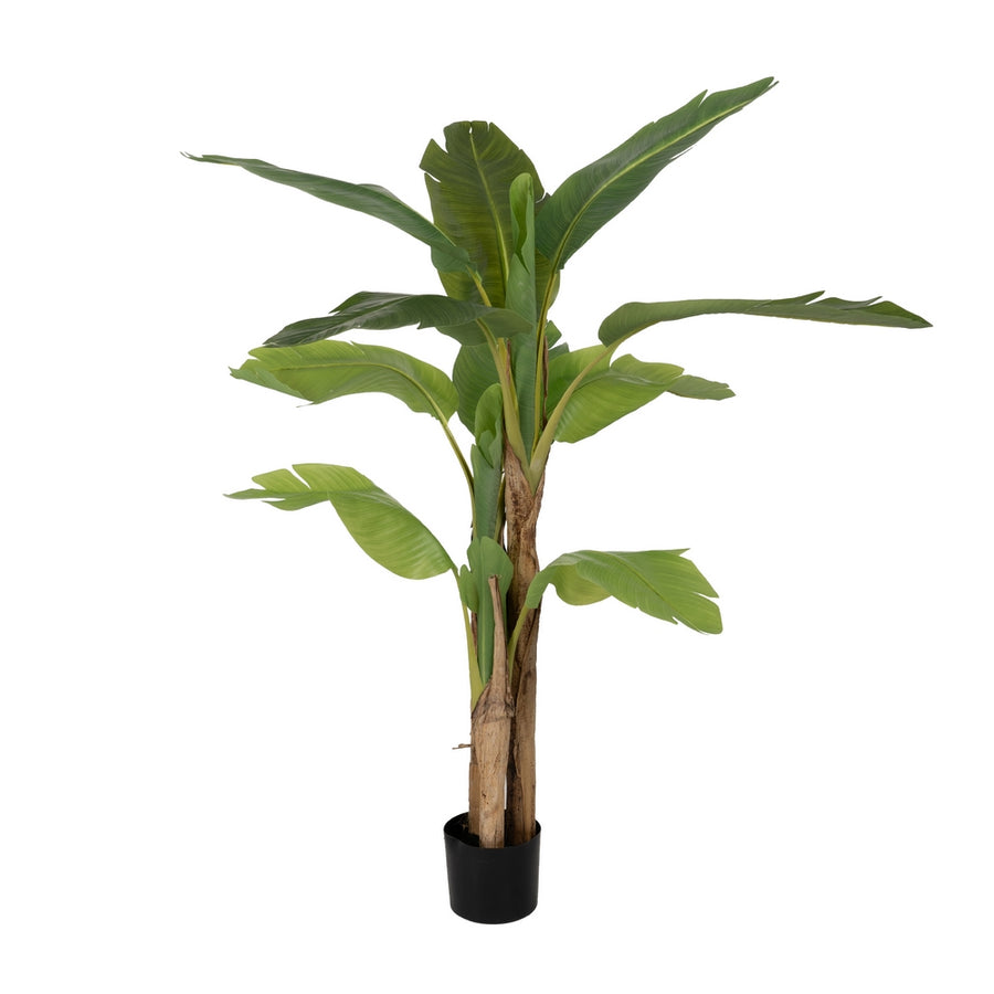 GREEN BANANA TREE PLANT RUBBER DECORATION 150 CM