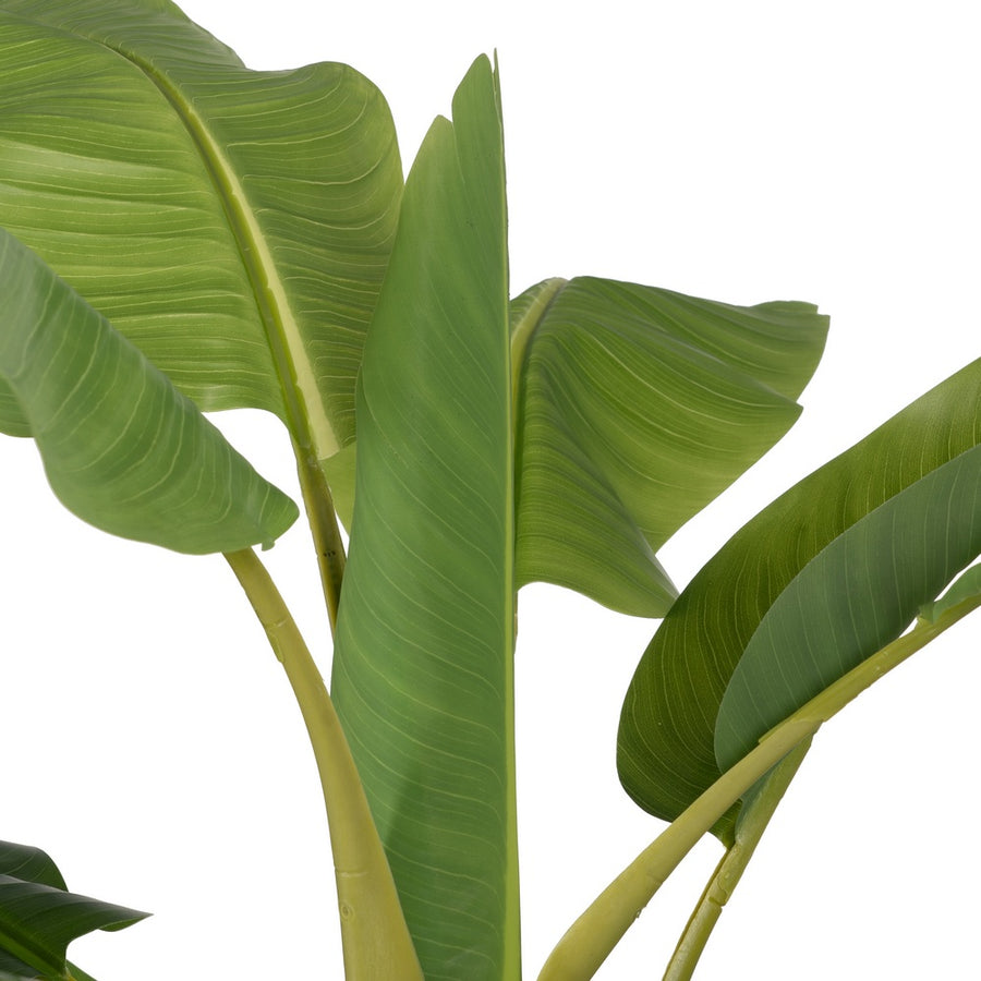GREEN BANANA TREE PLANT RUBBER DECORATION 200 CM