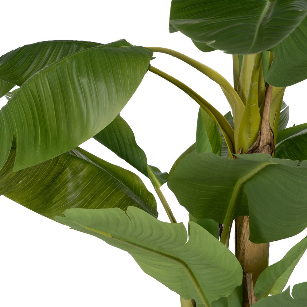 PLANTA PLATANERO VERDE GOMA DECORACIÓN 200 CM