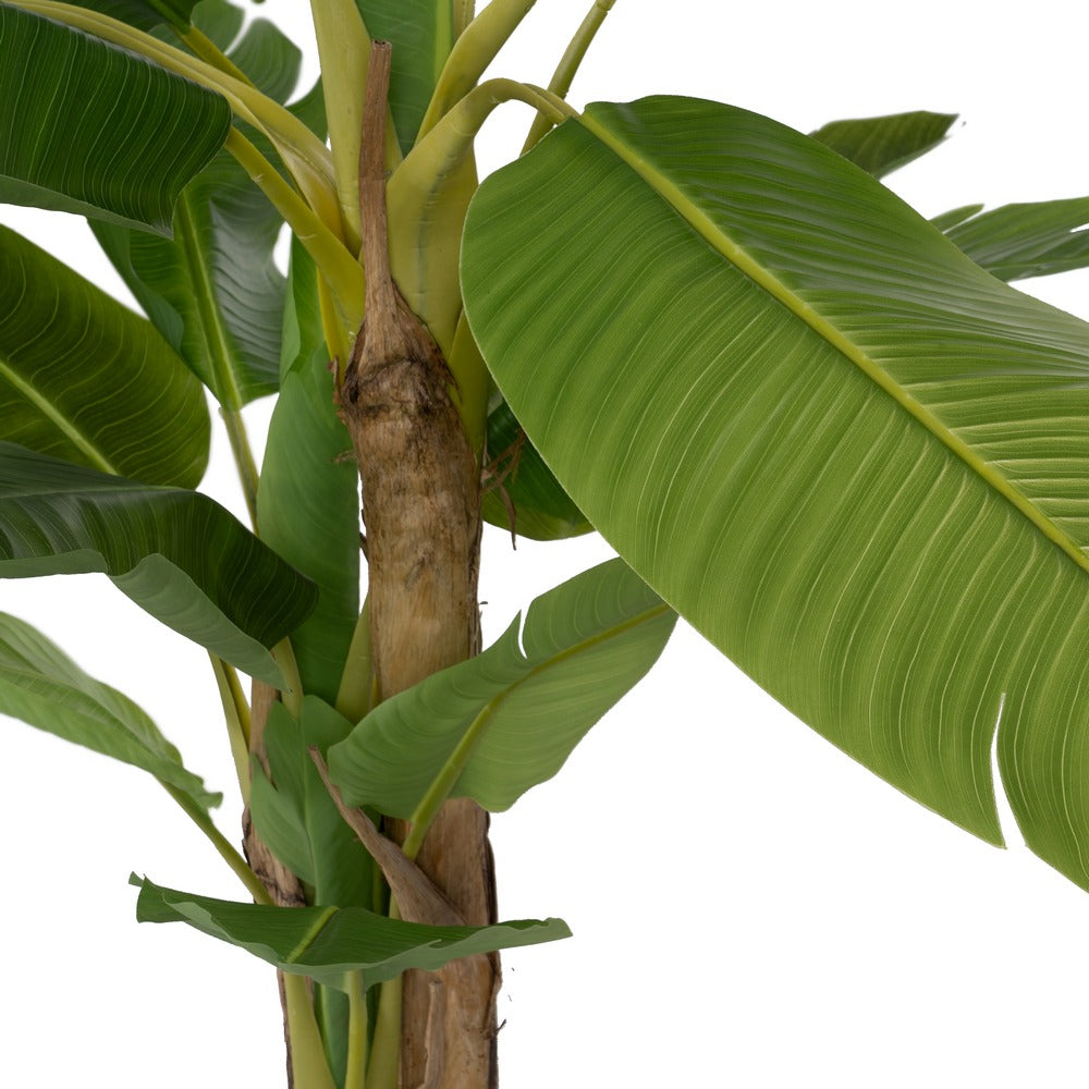 PLANTA PLATANERO VERDE GOMA DECORACIÓN 200 CM