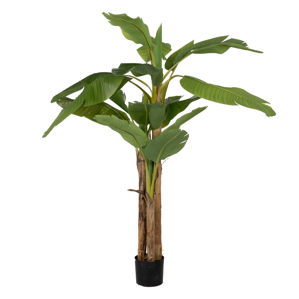 GREEN BANANA TREE PLANT RUBBER DECORATION 200 CM