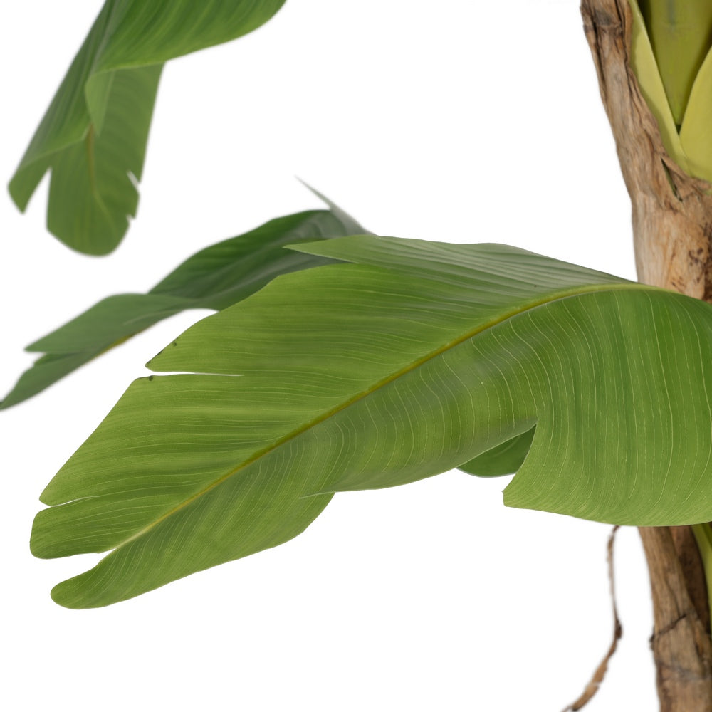 GREEN BANANA TREE PLANT RUBBER DECORATION 280 CM