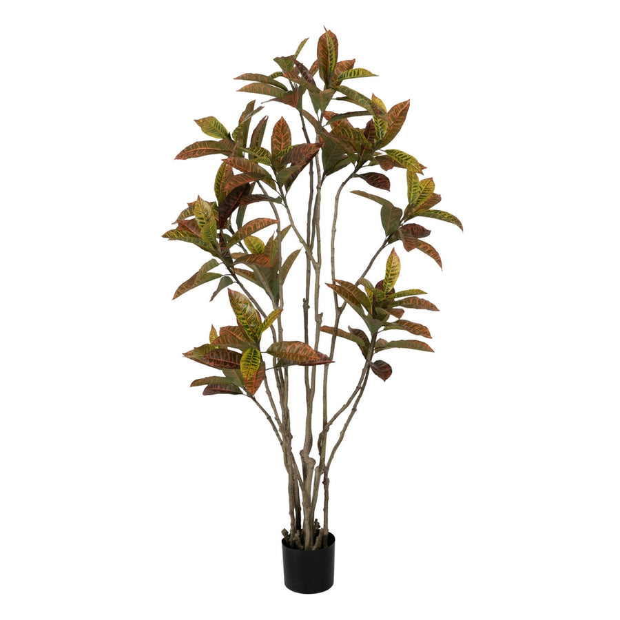 PLANTA CROTON ROJO GOMA DECORACIÓN 150 CM