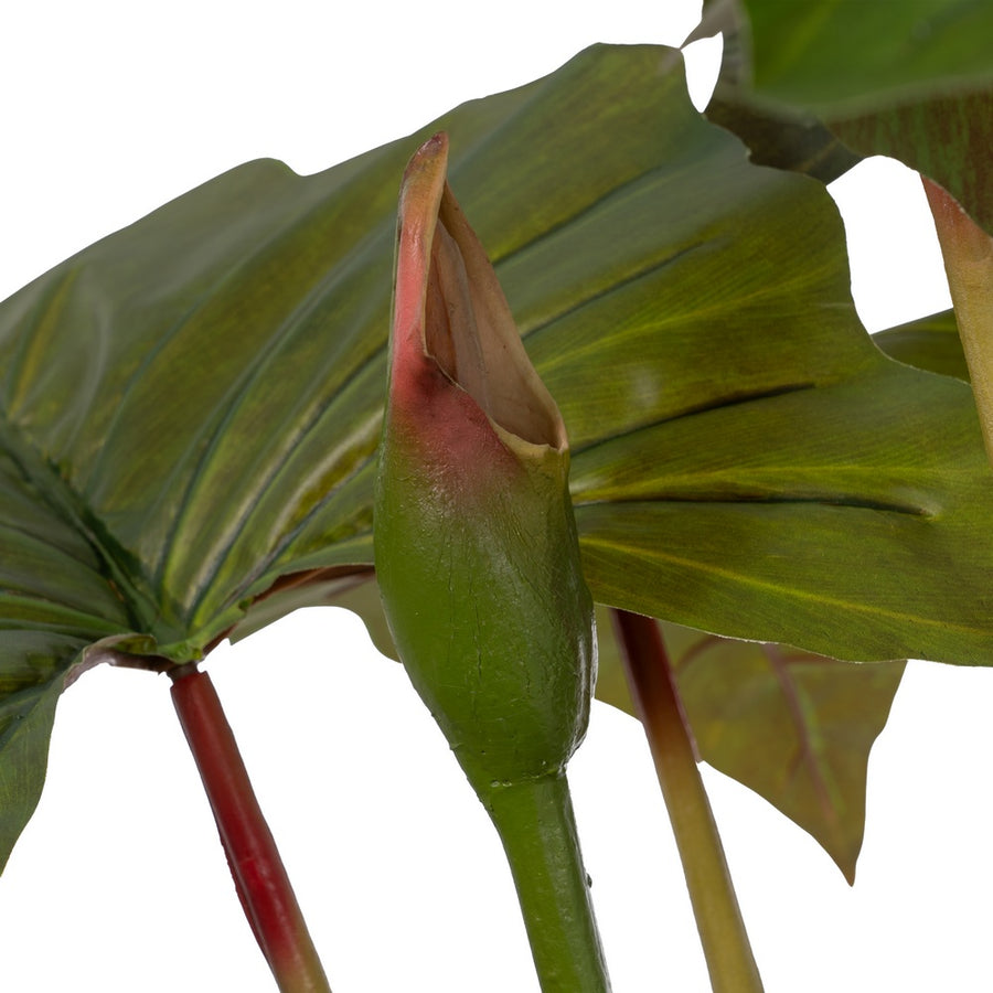 PLANTA COLOCASIA VERDE POLIETILENO 185 CM