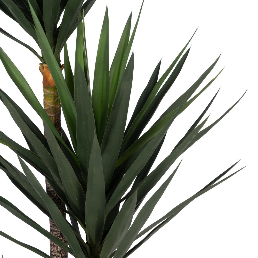 250 CM GREEN POLYETHYLENE YUCCA PLANT FOR GARDEN