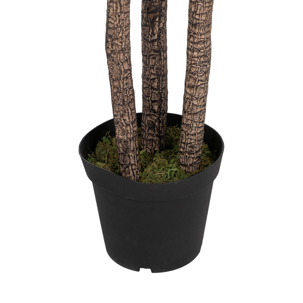 250 CM GREEN POLYETHYLENE YUCCA PLANT FOR GARDEN