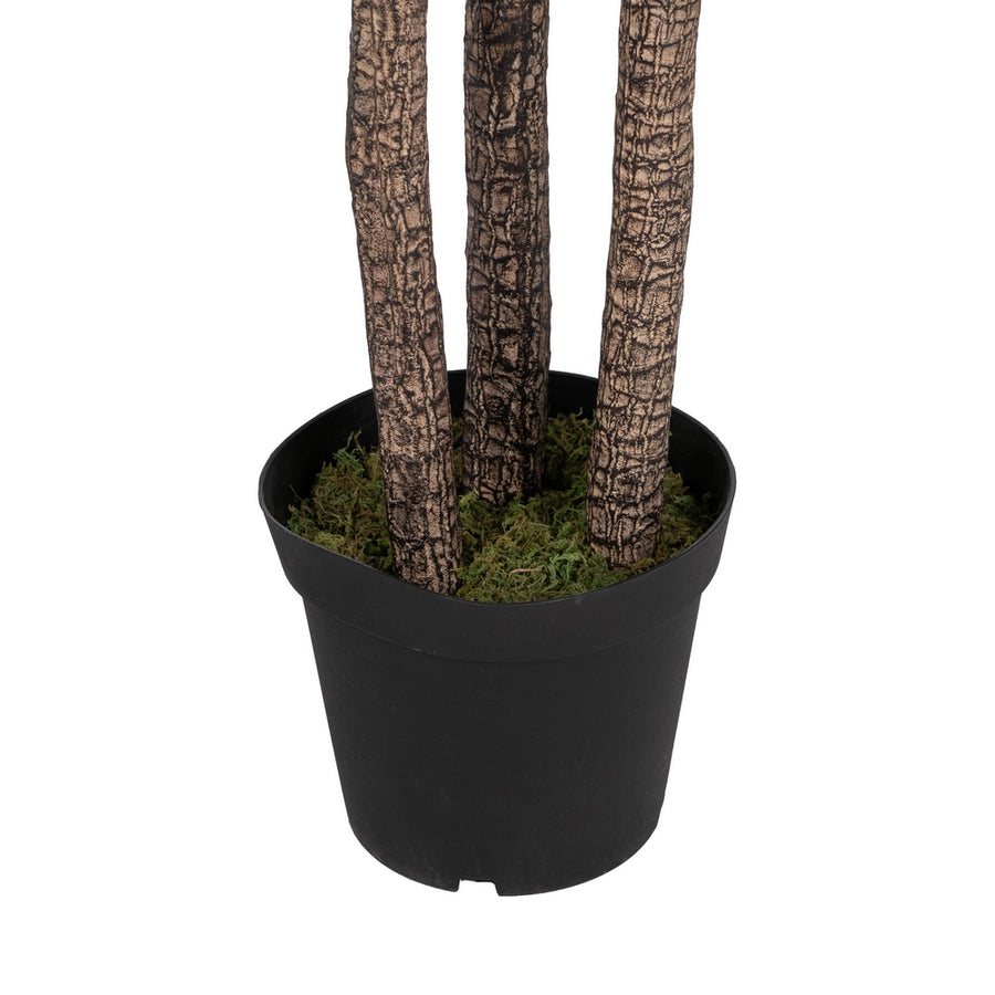 250 CM GREEN POLYETHYLENE YUCCA PLANT FOR GARDEN