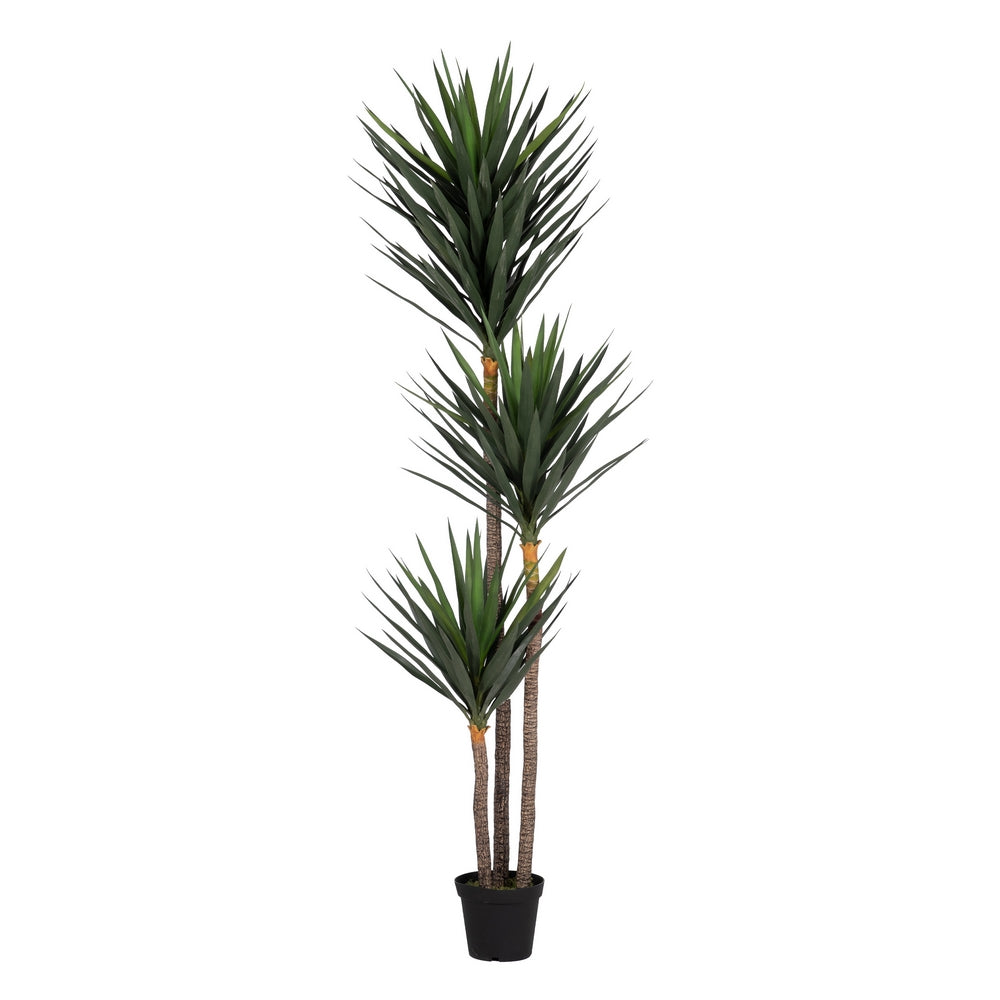 250 CM GREEN POLYETHYLENE YUCCA PLANT FOR GARDEN