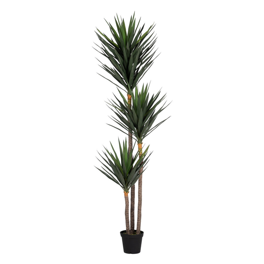 250 CM GREEN POLYETHYLENE YUCCA PLANT FOR GARDEN