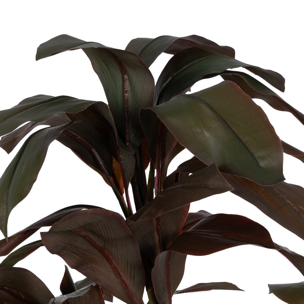 170 CM GARDEN POLYETHYLENE PLANT