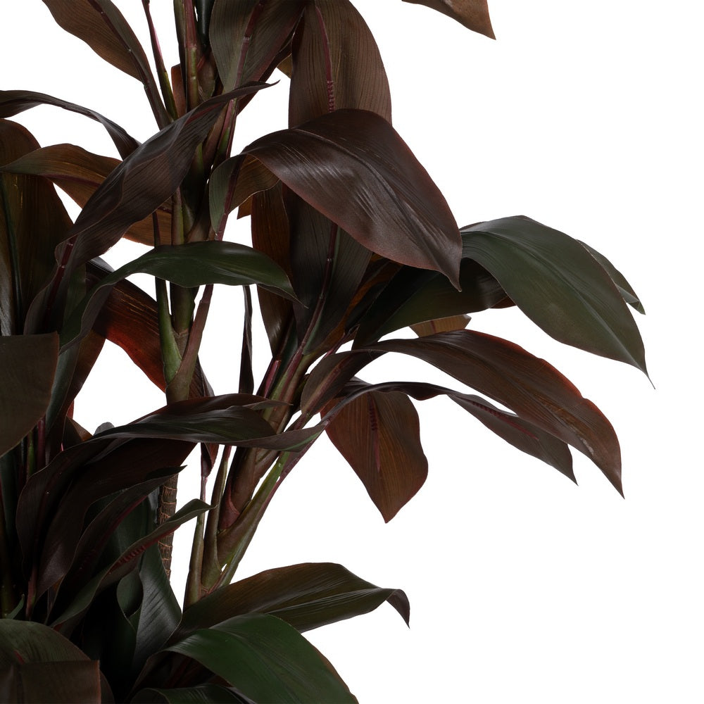 170 CM GARDEN POLYETHYLENE PLANT