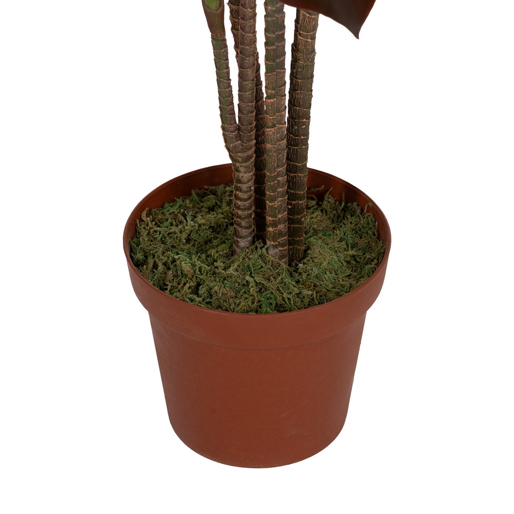 170 CM GARDEN POLYETHYLENE PLANT