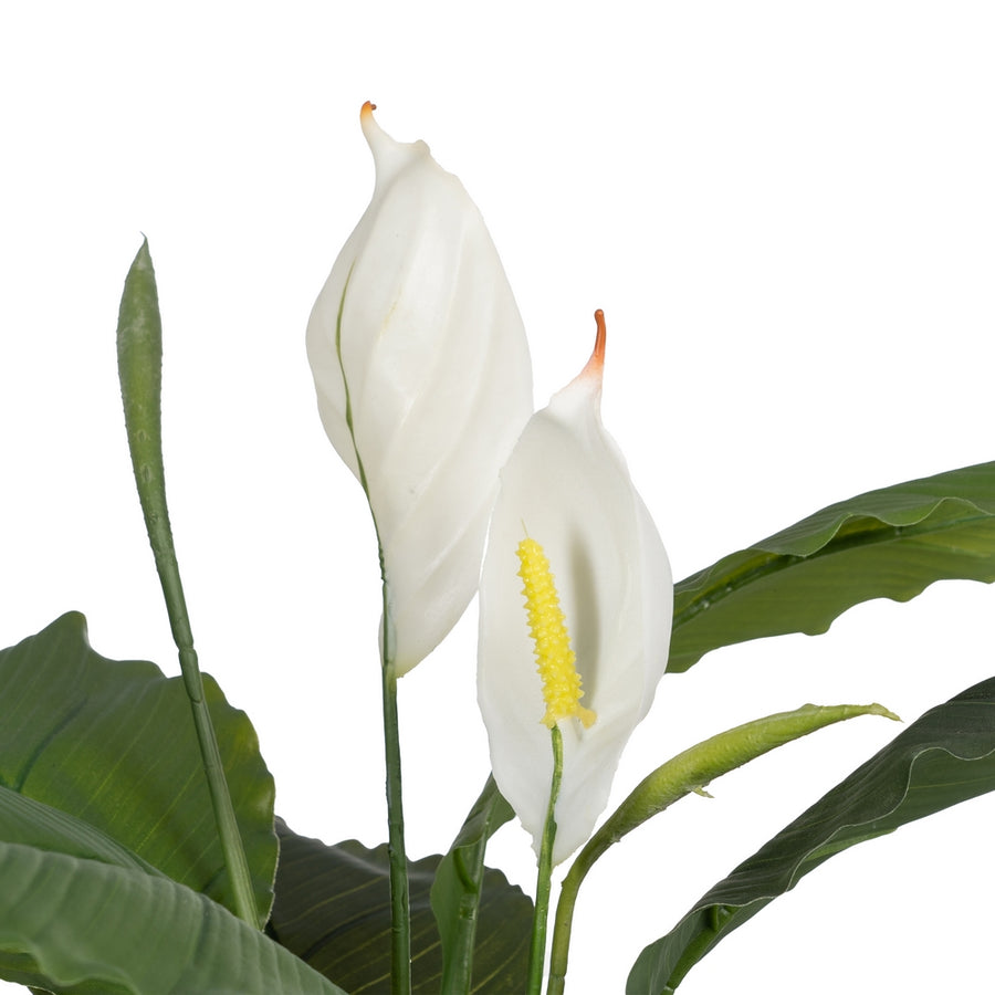 GREEN-WHITE POLYETHYLENE GARDEN PLANT 130 CM
