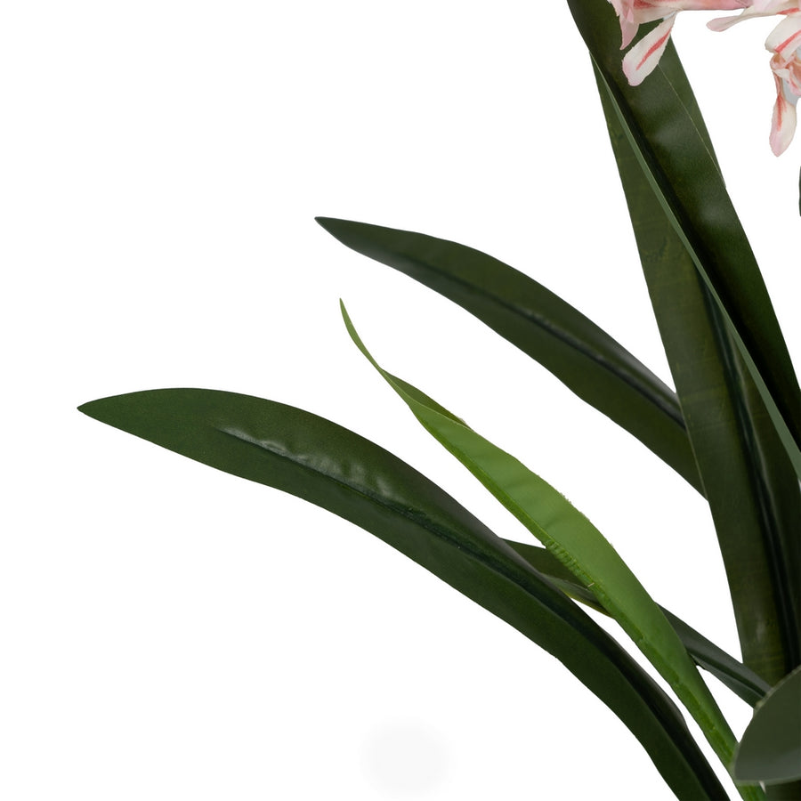 PLANTA JACINTO VERDE-ROSA POLIETILENO 100 CM