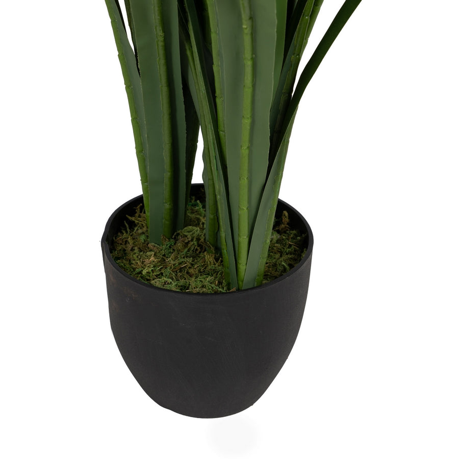 PLANTA JACINTO VERDE-ROSA POLIETILENO 100 CM