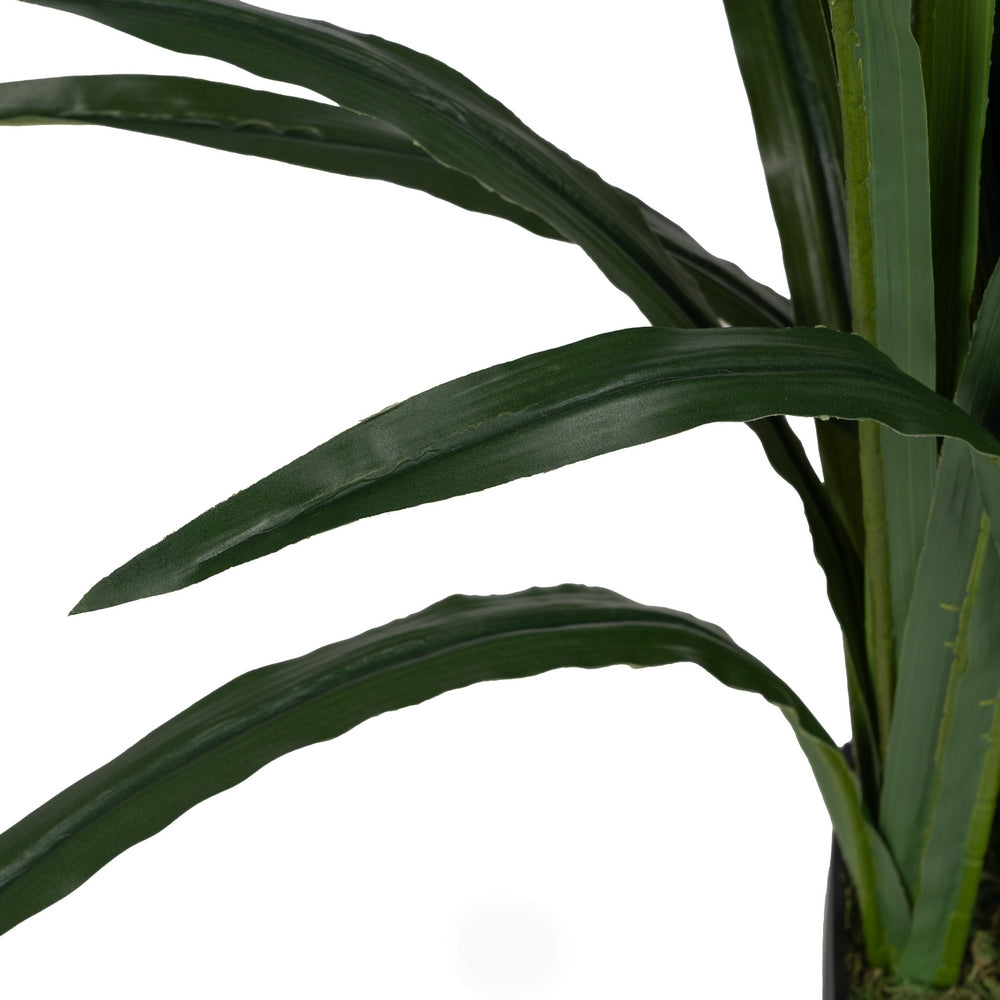 GREEN ORCHID PLANT POLYETHYLENE GARDEN 110 CM