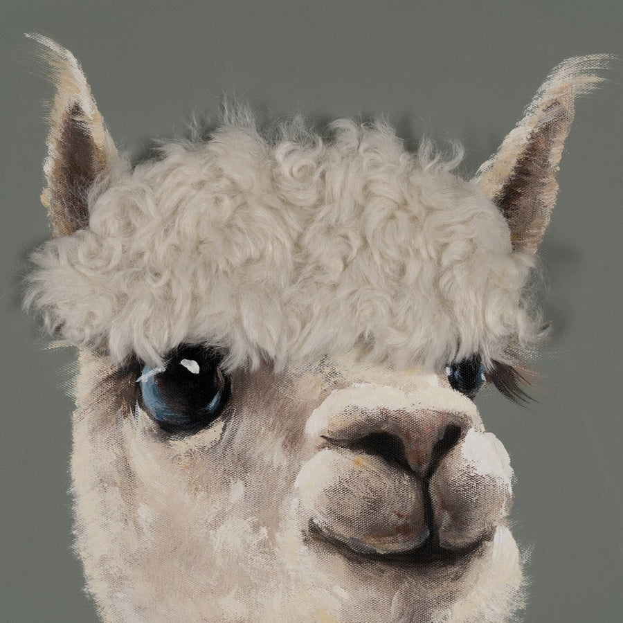PINTURA LLAMAS LIENZO 150 X 3,50 X 50 CM