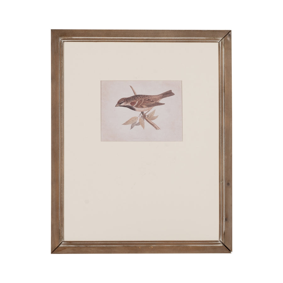 BIRD PRINT PICTURE 2/M 43 X 2 X 53 CM