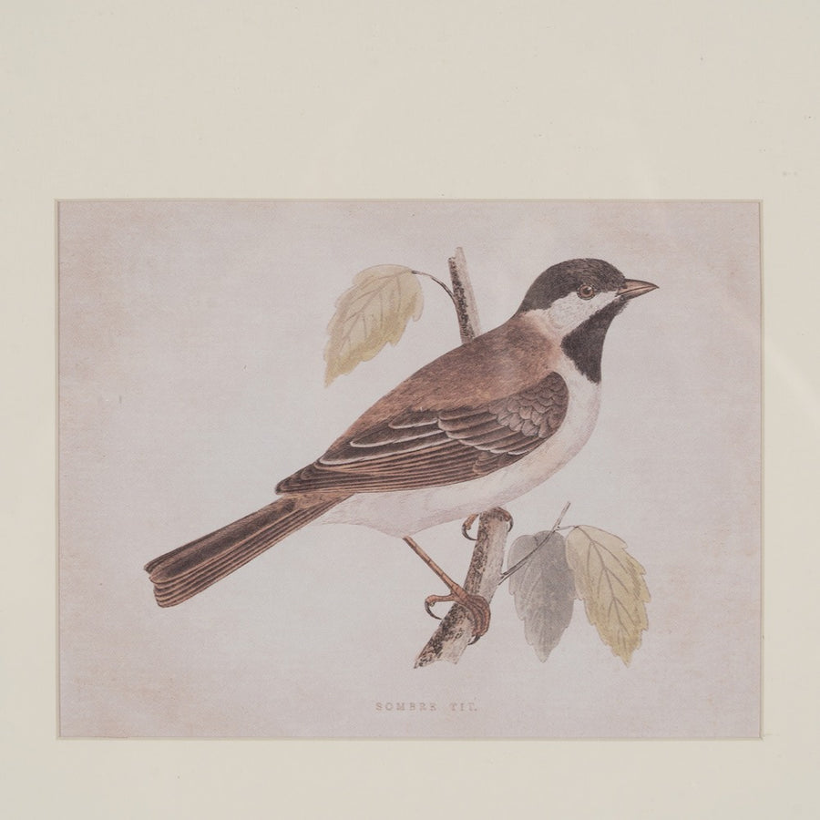 BIRD PRINT PICTURE 2/M 43 X 2 X 53 CM