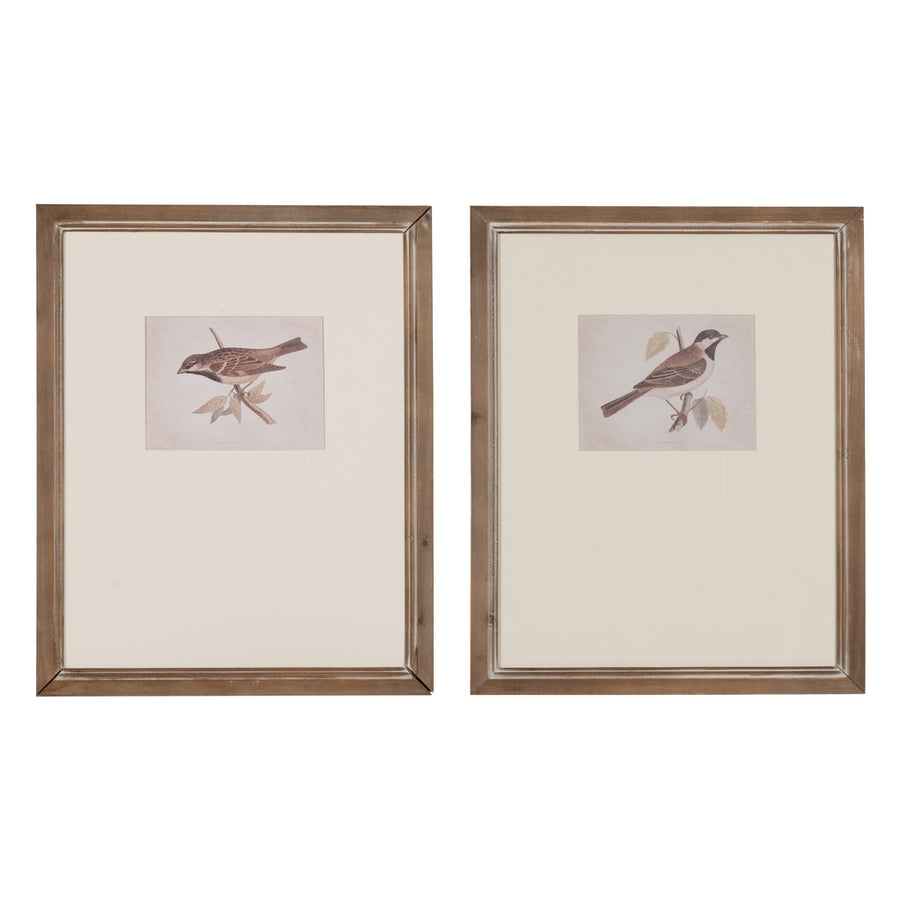 BIRD PRINT PICTURE 2/M 43 X 2 X 53 CM