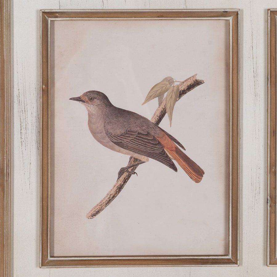 CUADRO IMPRESIÓN PÁJAROS 72,50 X 3,50 X 88 CM