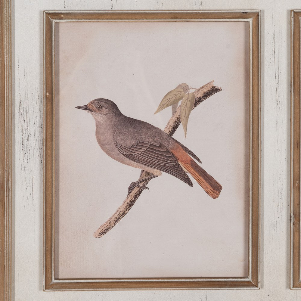 CUADRO IMPRESIÓN PÁJAROS 72,50 X 3,50 X 88 CM