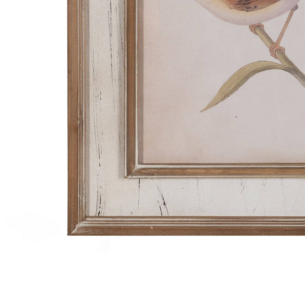 CUADRO IMPRESI�N P�JAROS 72,50 X 3,50 X 88 CM